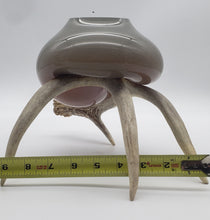 Load image into Gallery viewer, Hunters Paradise Series (Golden Iris Bowl on Antler)