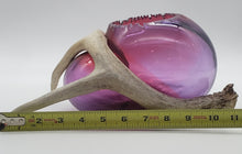 Load image into Gallery viewer, Hunters Paradise Series (Golden Ruby Red and Amethyst)