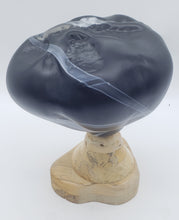 Load image into Gallery viewer, Boulder Series (Mushroom Boulder)