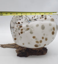 Load image into Gallery viewer, Boulder Series (Granite Boulder)