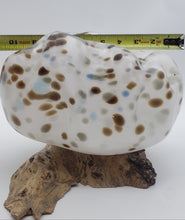 Load image into Gallery viewer, Boulder Series (Granite Boulder)