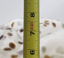 Load image into Gallery viewer, Boulder Series (Granite Boulder)