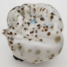 Load image into Gallery viewer, Boulder Series (Granite Boulder)