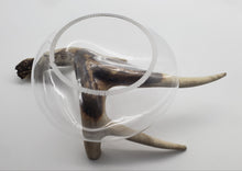 Load image into Gallery viewer, Hunters Paradise Series (Clear)